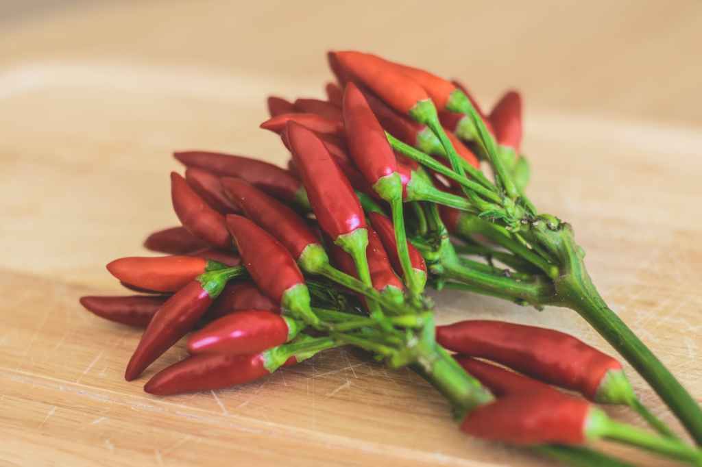 The Fiery Power: Exploring the 6 Medicinal Uses of Chili